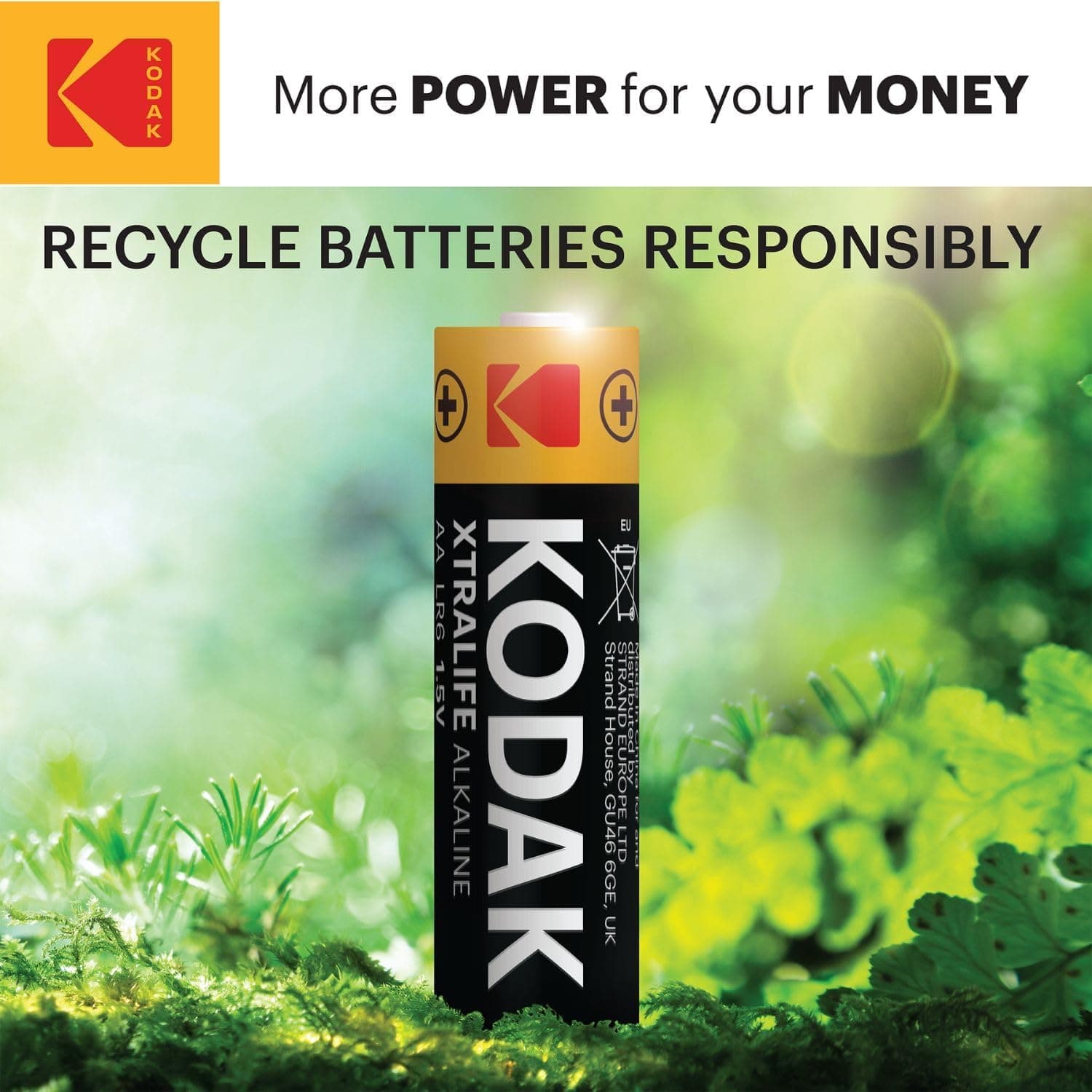 KODAK | AAA Batteries | Triple A | Disposable Household | Alkaline 1.5V | 2 Pack - 7