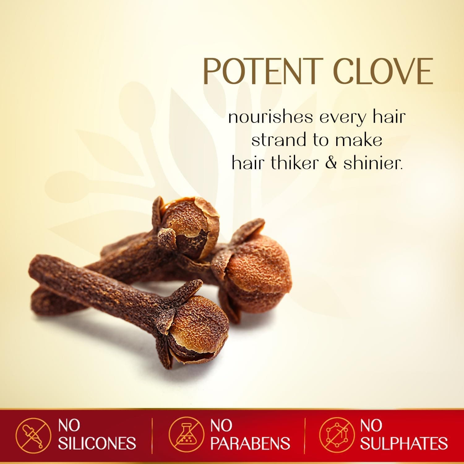 PARACHUTE VIRGIN COCONUT OIL 12X500ML - 6