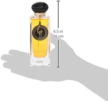 Rasasi Dayy Perfume for Unisex 100 ml - 4