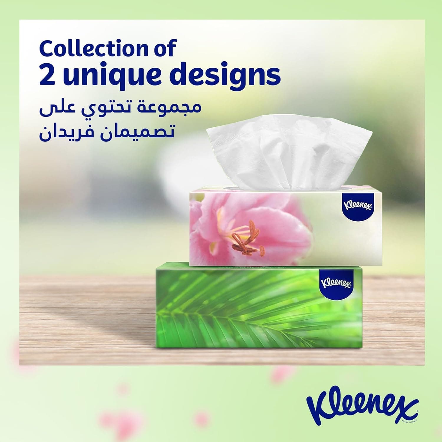 Kleenex Natural Collections Facial Tissue - Pack of 5 Boxes, 170 Sheets x 2 Ply - 6