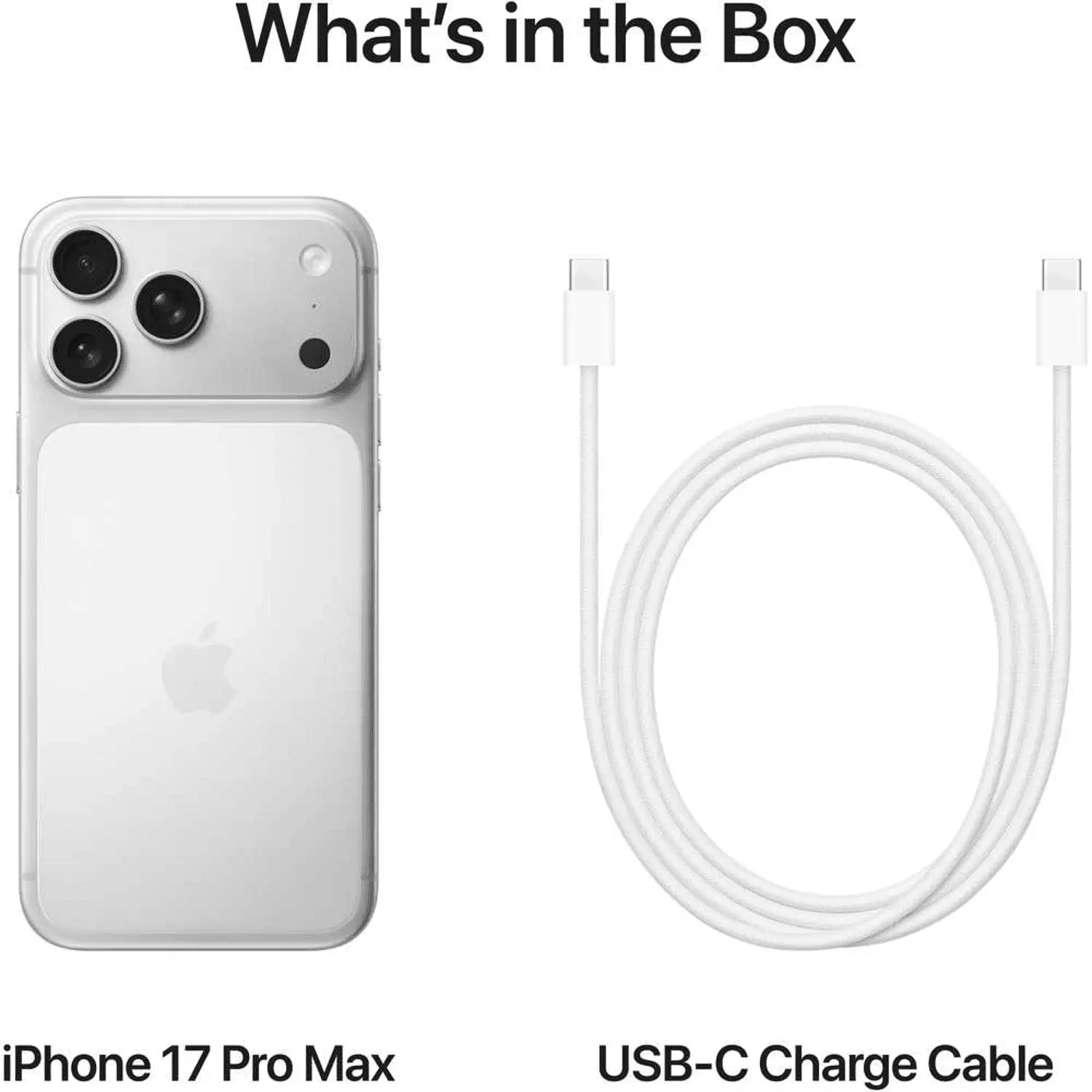 Apple iPhone 17 Pro Max Physical Dual Sim (No eSim) 256GB Silver 5G With FaceTime - 8